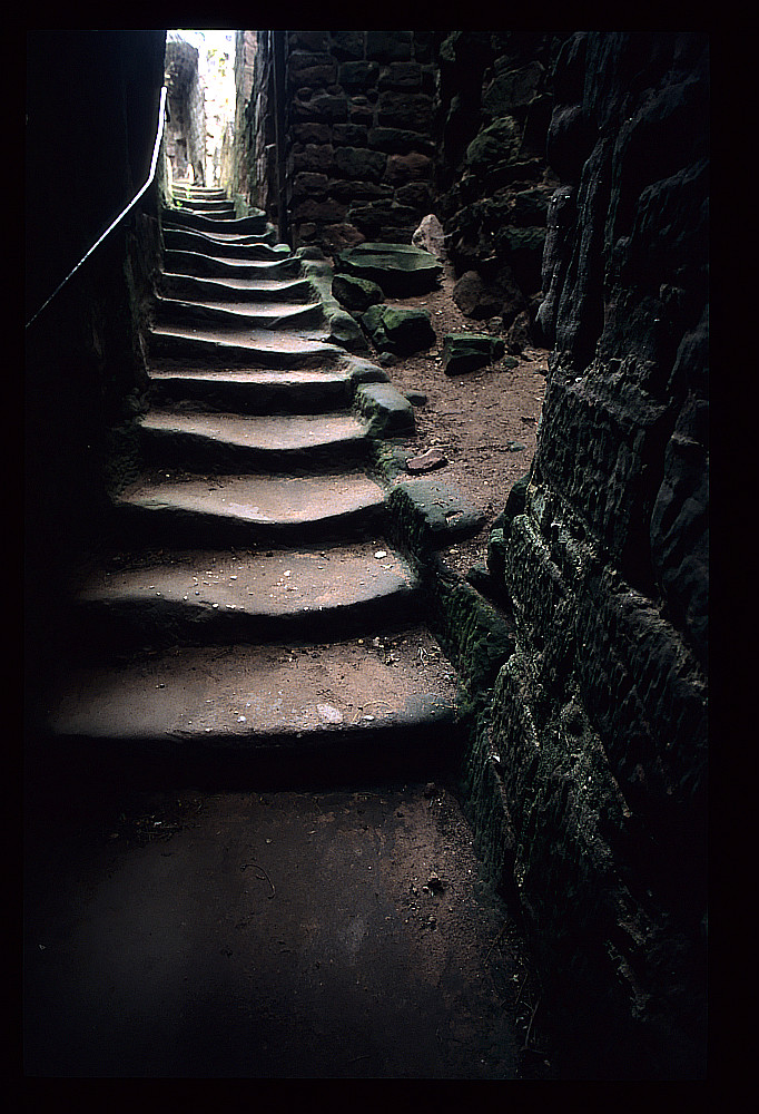 Burg Fleckenstein oder Szene aus einem der Romane von Raymond Feist?