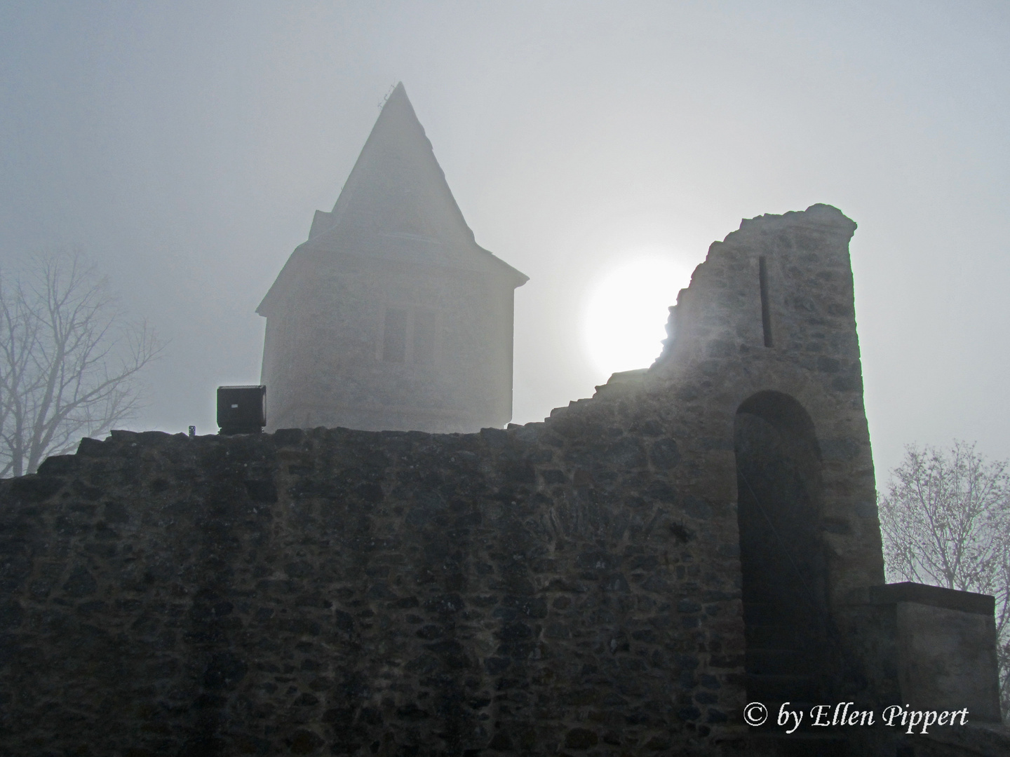 Burg Frankenstein