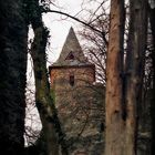 Burg Frankenstein