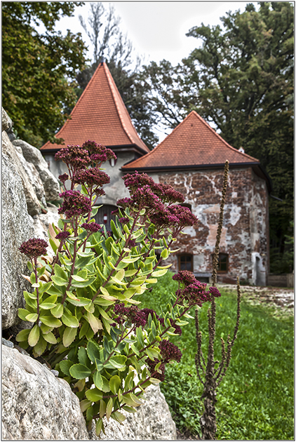 Burg Frauenstein