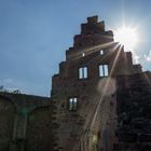 Burg Freudenberg am Main