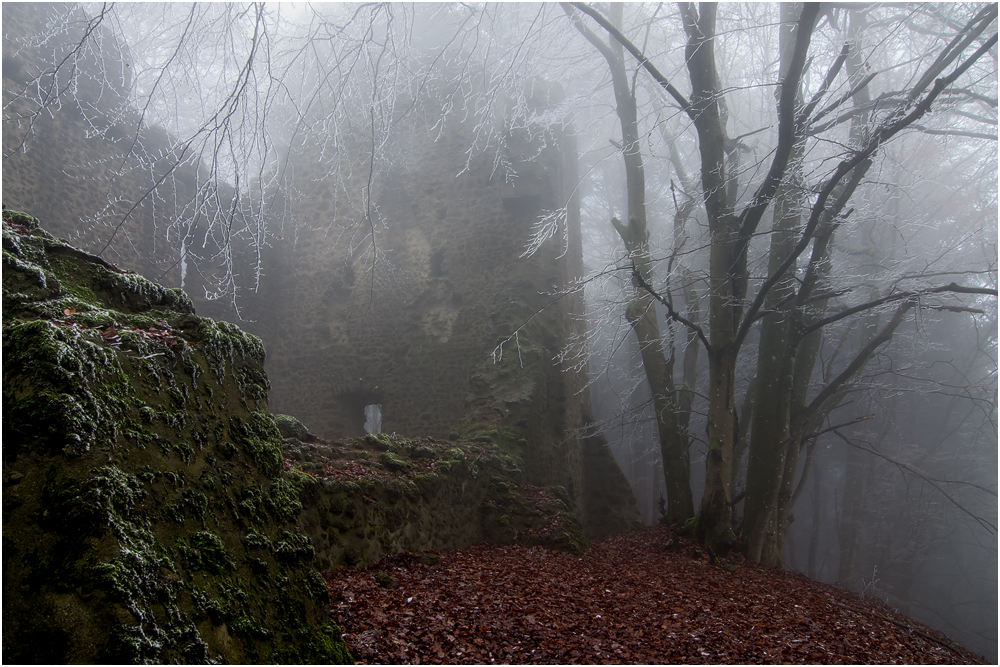 Burg Freudenkoppe...