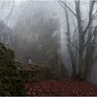 Burg Freudenkoppe...