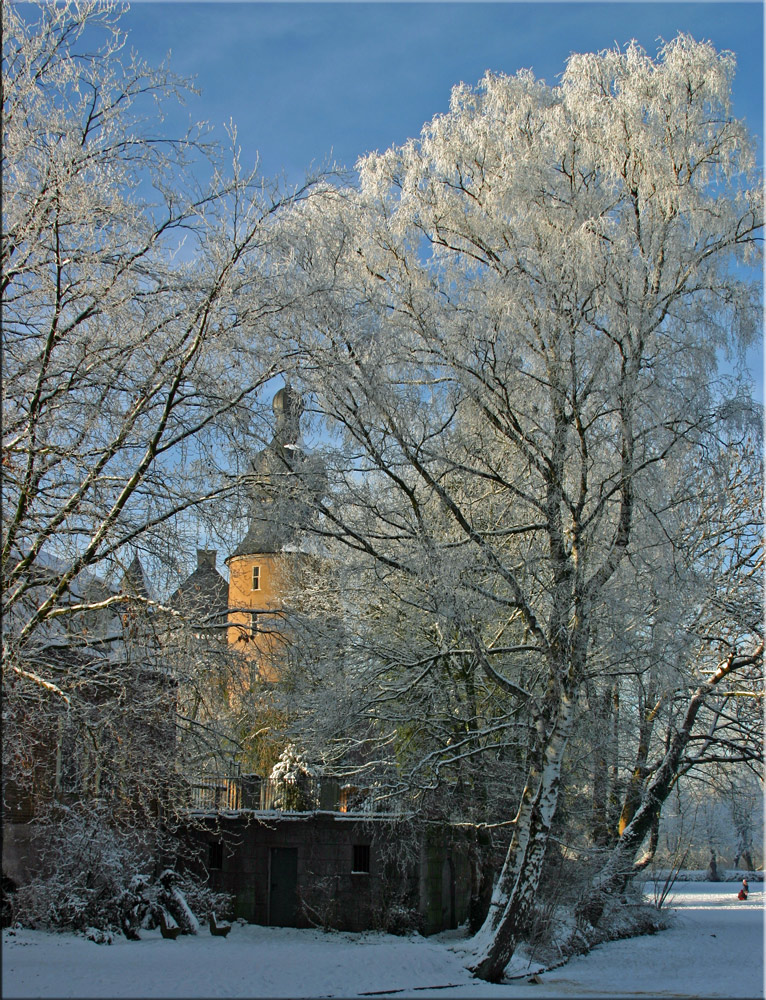 Burg Gemen