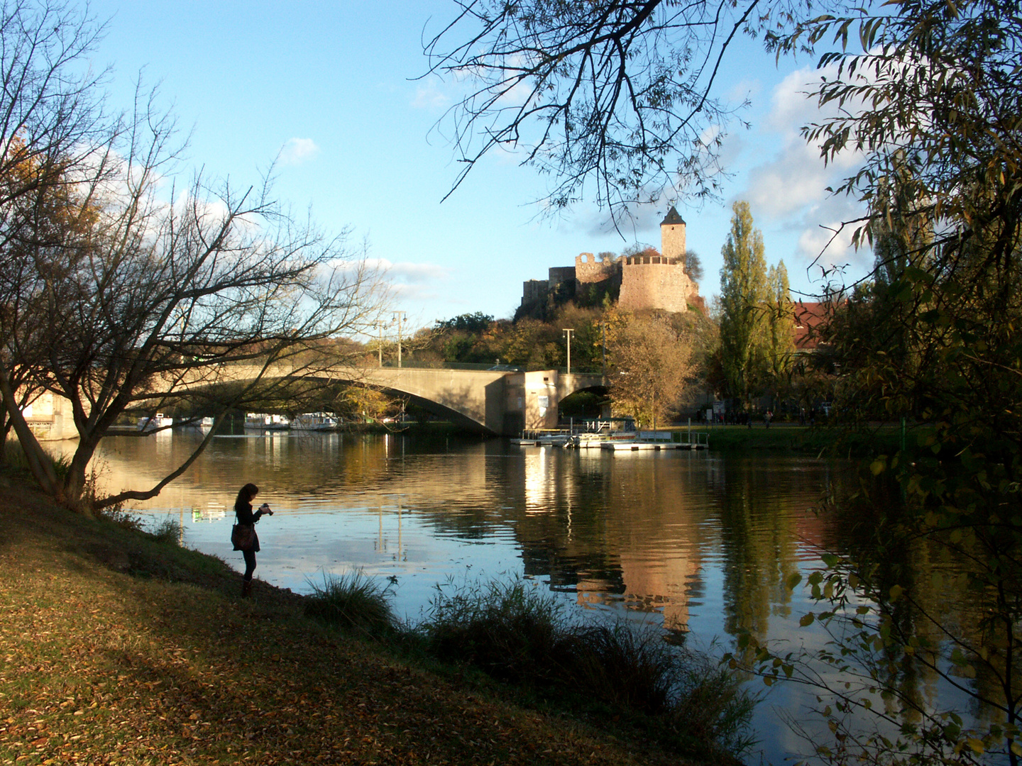 Burg Giebichenstein in Halle im Herbst