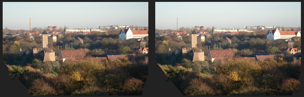 Burg Giebigenstein in Halle