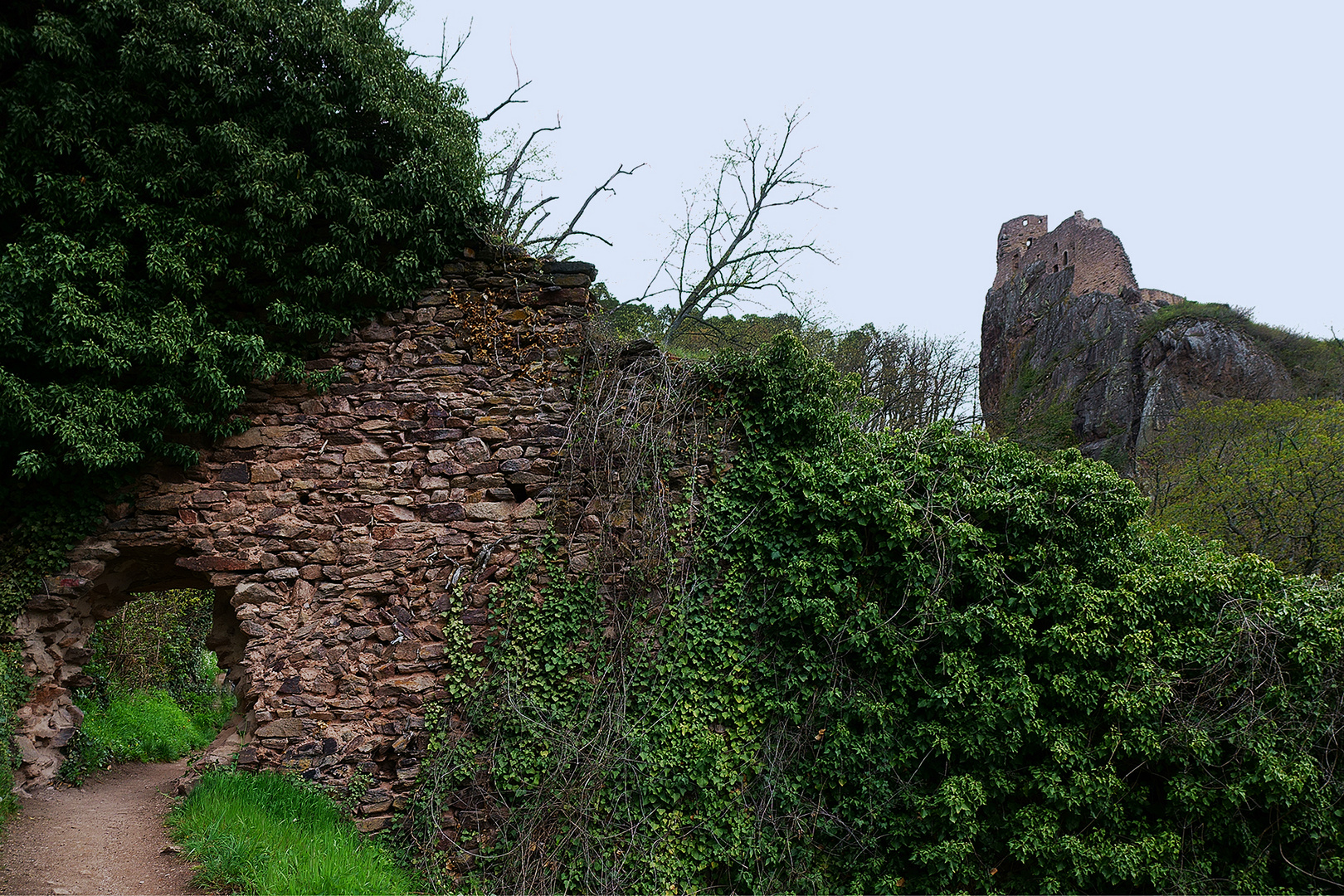 Burg Girsberg oberhalb von Rappoldsweiler