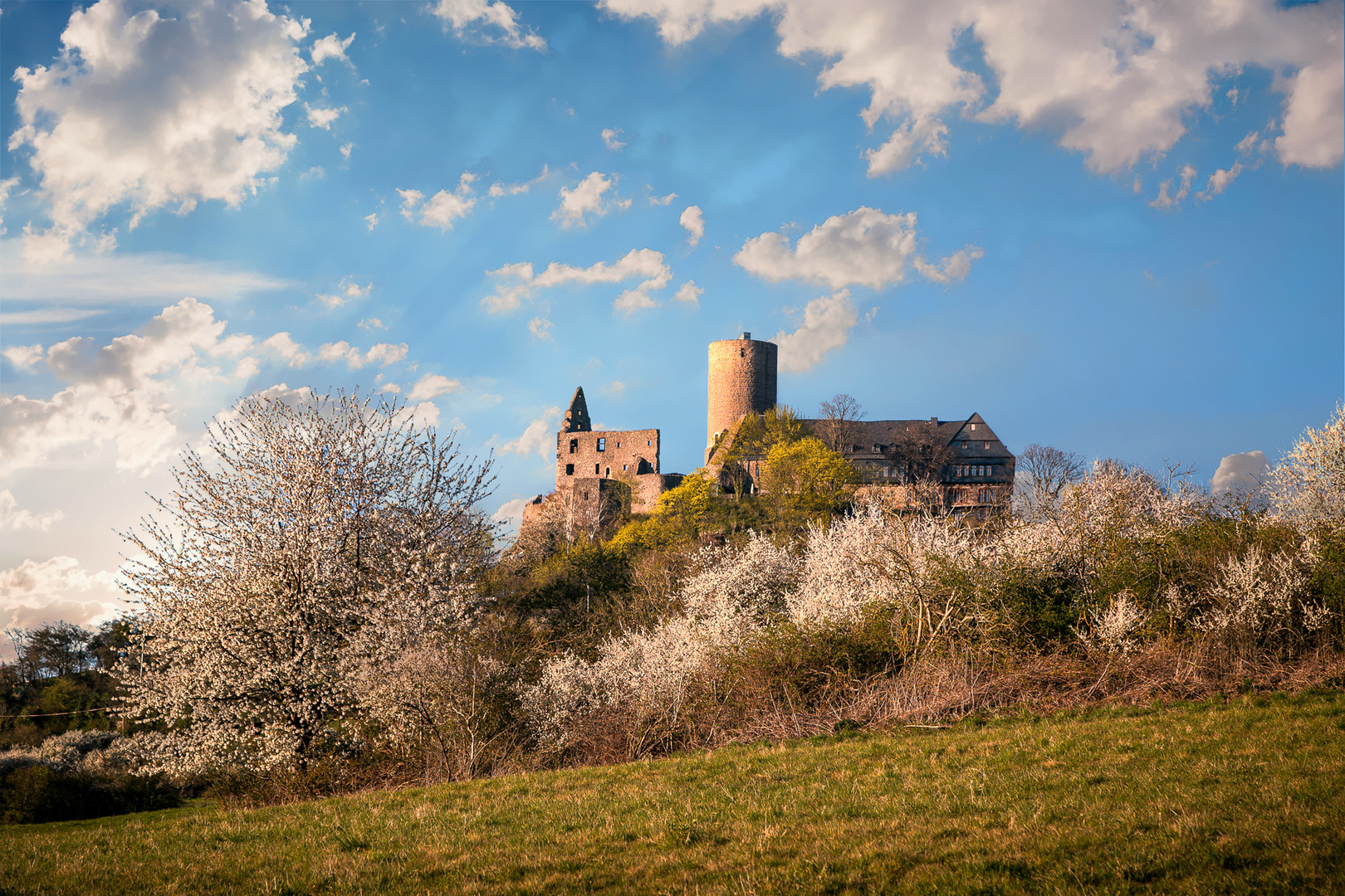 Burg Gleiberg im Frühling 