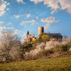 Burg Gleiberg im Frühling 