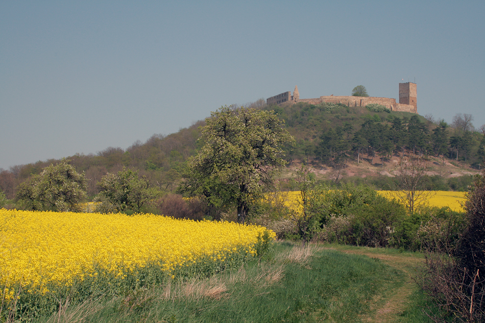 Burg Gleichen Foto & Bild deutschland, europe, thüringen Bilder auf