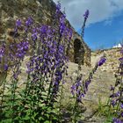 Burg gleichen