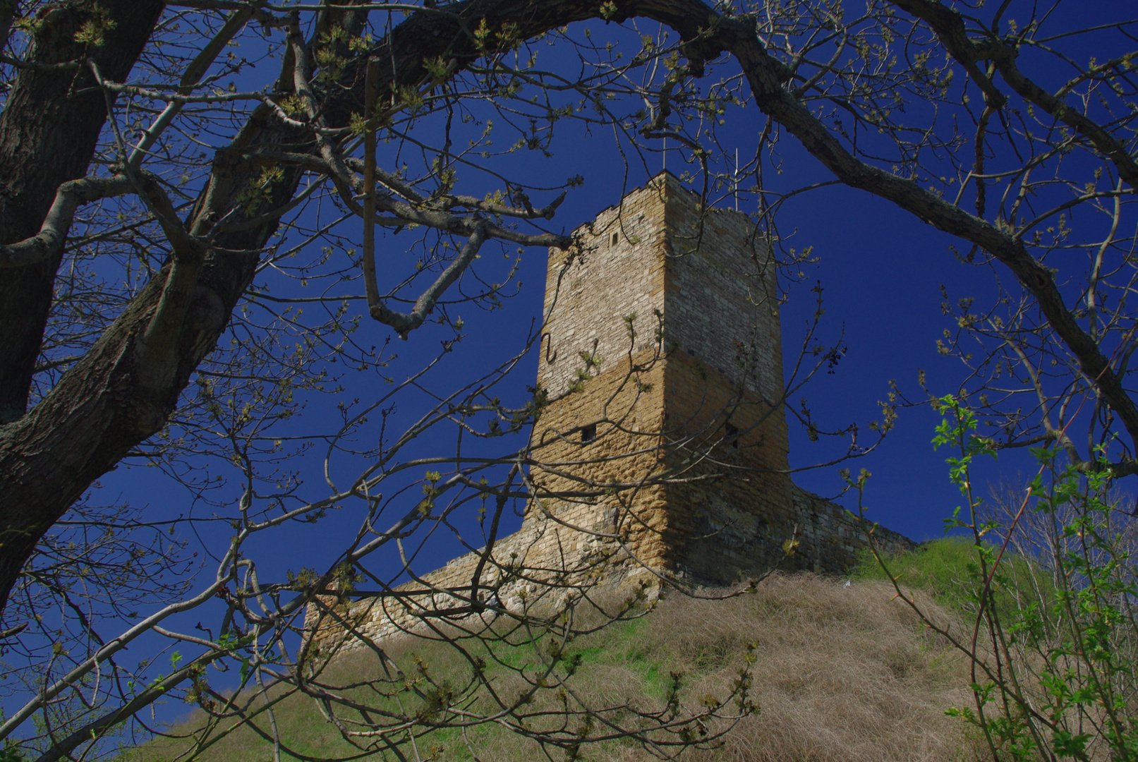 Burg Gleichen