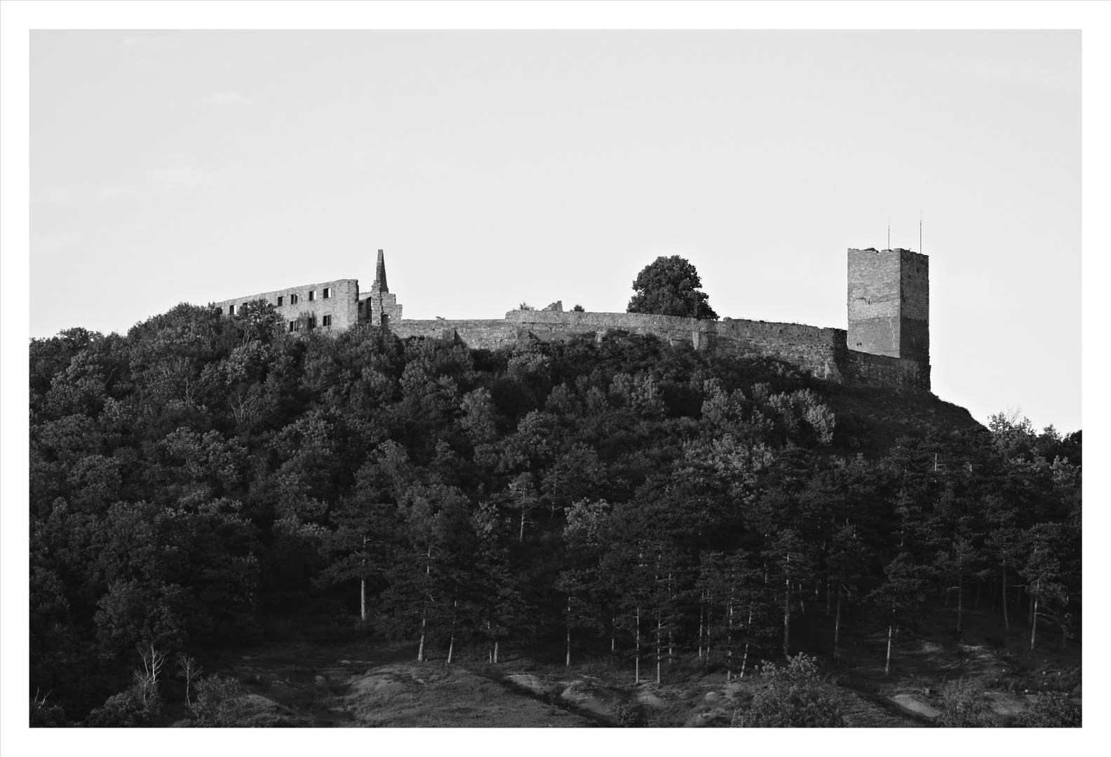 Burg Gleichen ( Wanderslebner Burg )