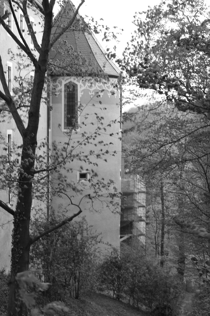 Burg Gnandstein 2