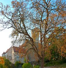 Burg Gnandstein