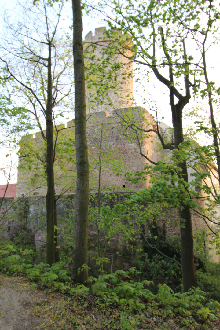 Burg Gnandstein