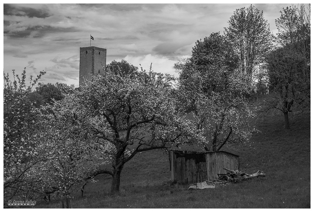 Burg Greene