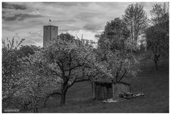 Burg Greene