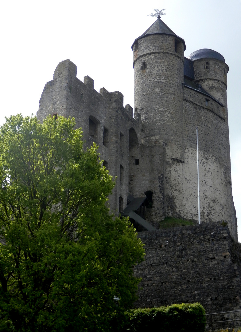 Burg Greifenstein (2)