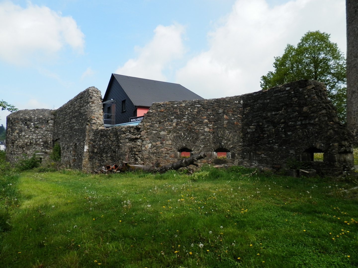 Burg Greifenstein (3)