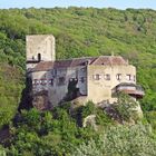 Burg Greifenstein