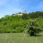 Burg Greifenstein