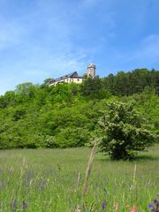 Burg Greifenstein