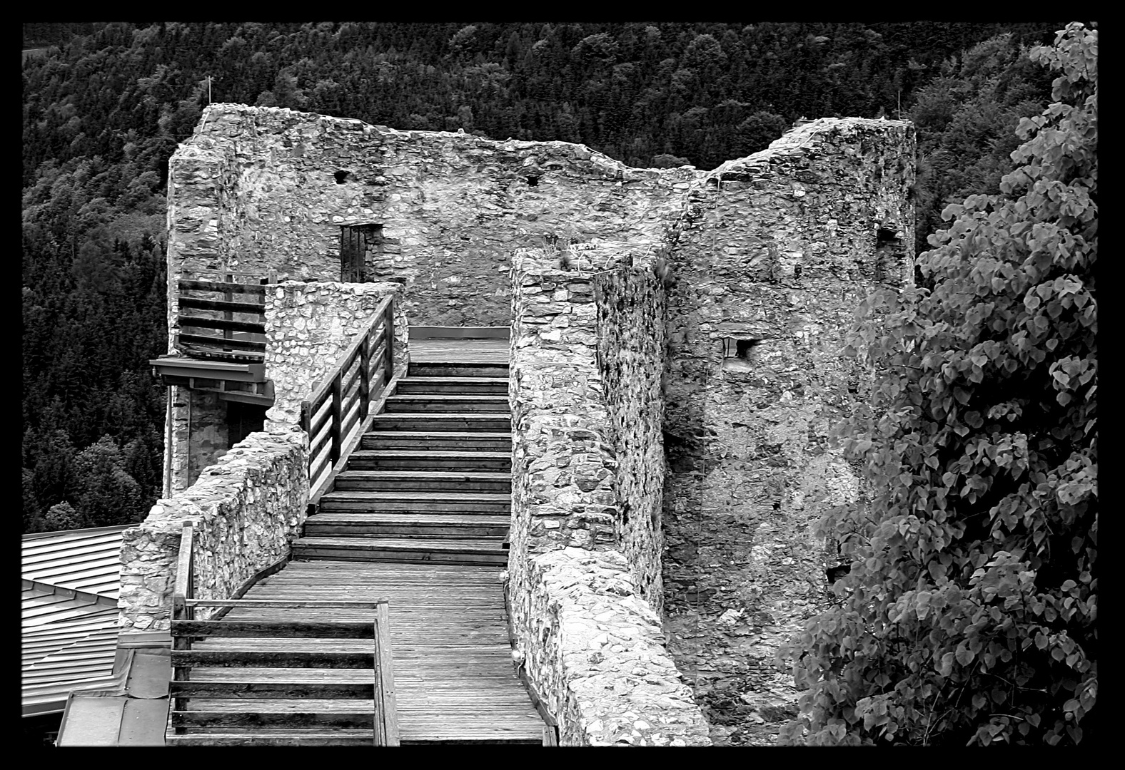 Burg Griffen in Kärnten
