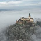 Burg Güssing im Nebel