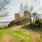 Burg Gutenburg 29