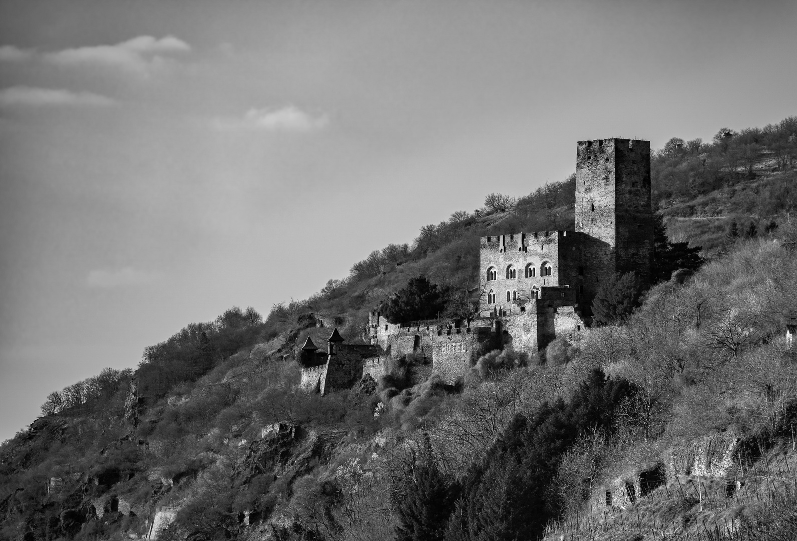 Burg Gutenfels