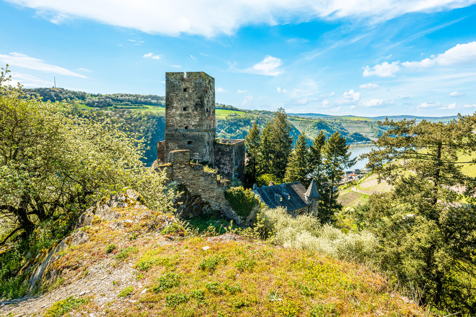 Burg Gutenfels 14