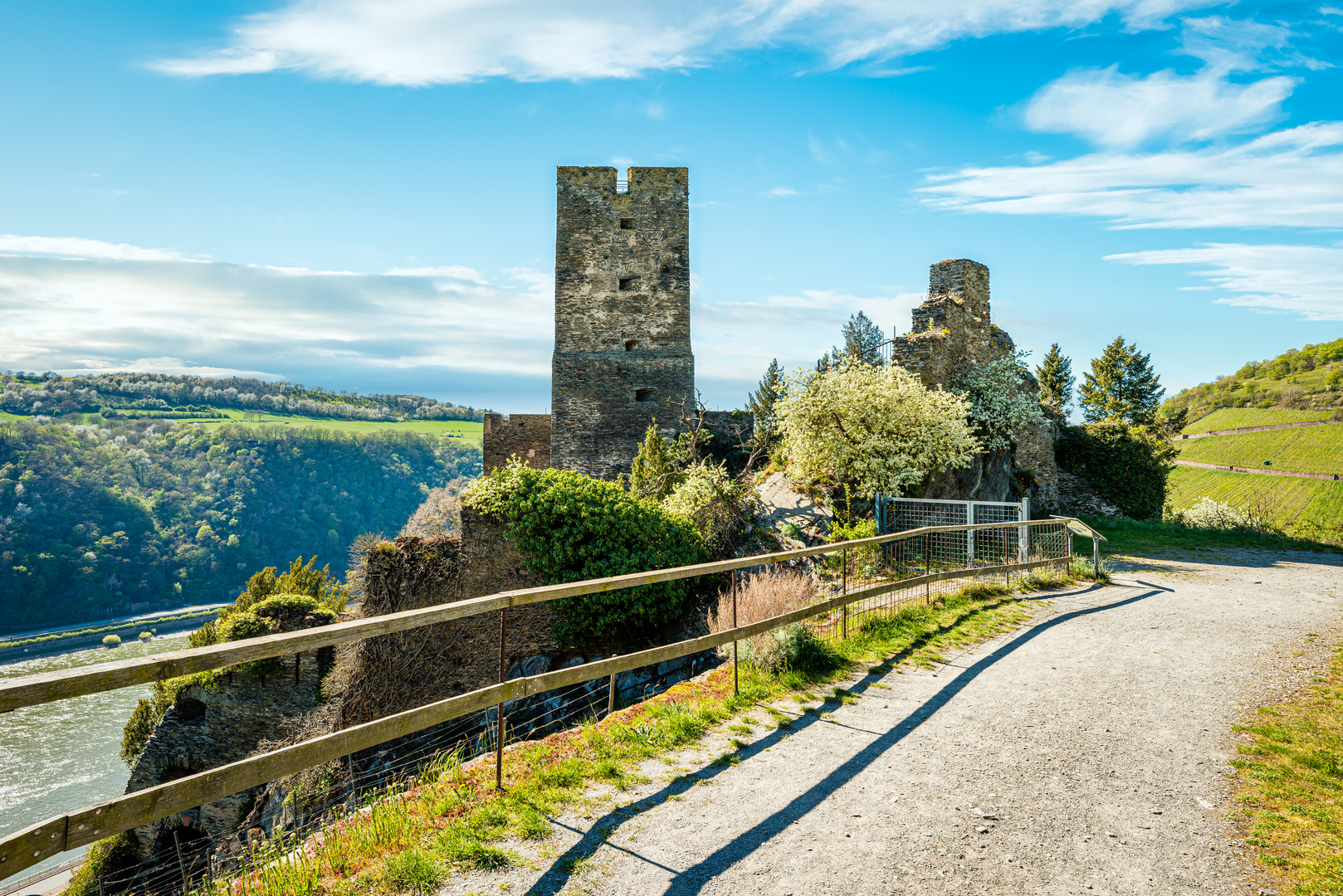 Burg Gutenfels 43