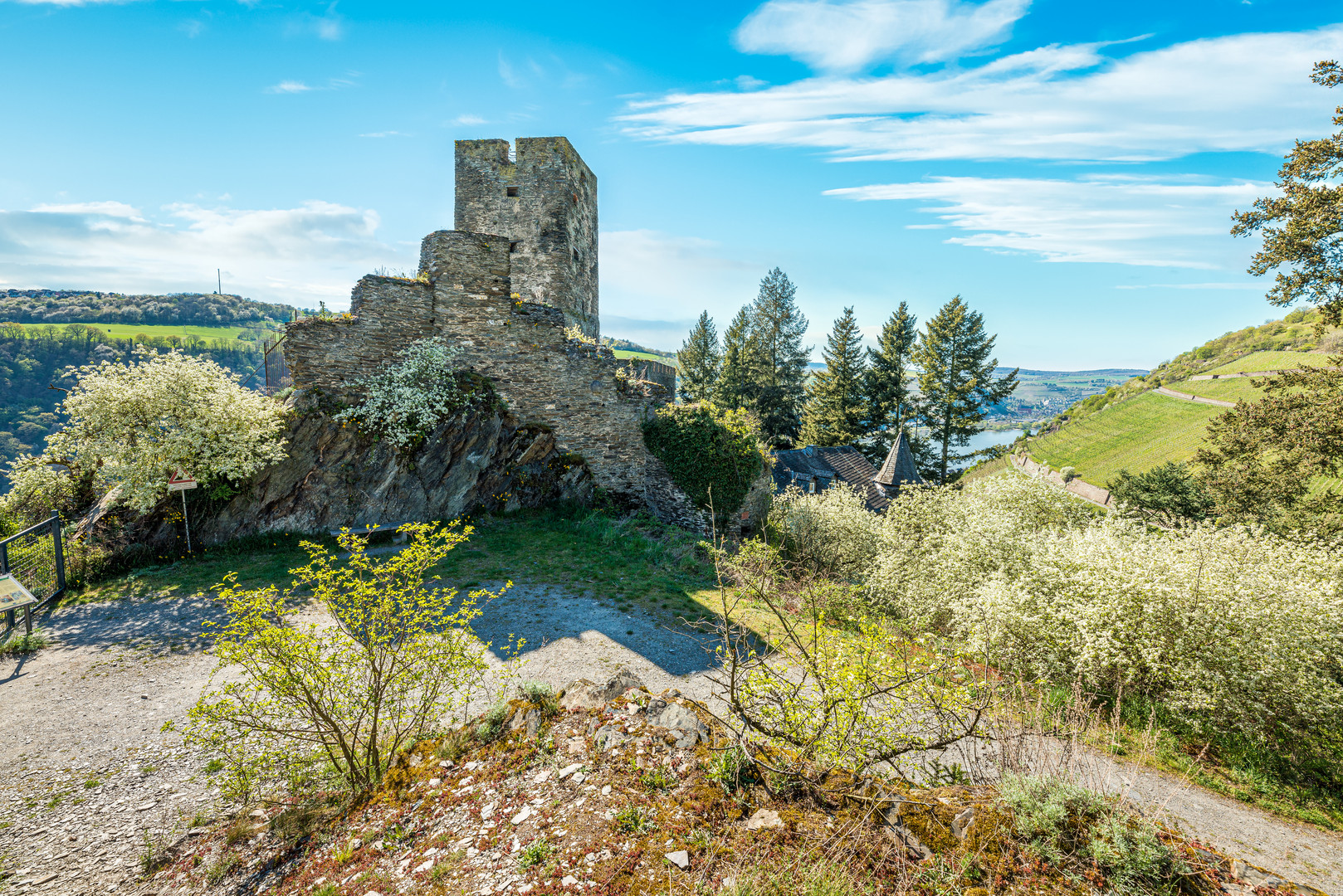 Burg Gutenfels 49