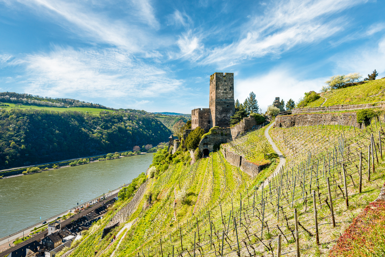 Burg Gutenfels 54