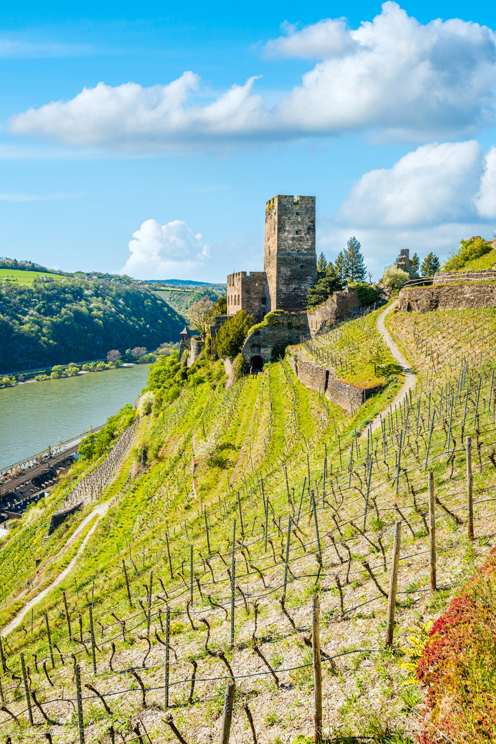 Burg Gutenfels 55