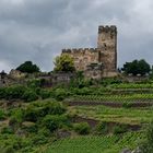 Burg Gutenfels