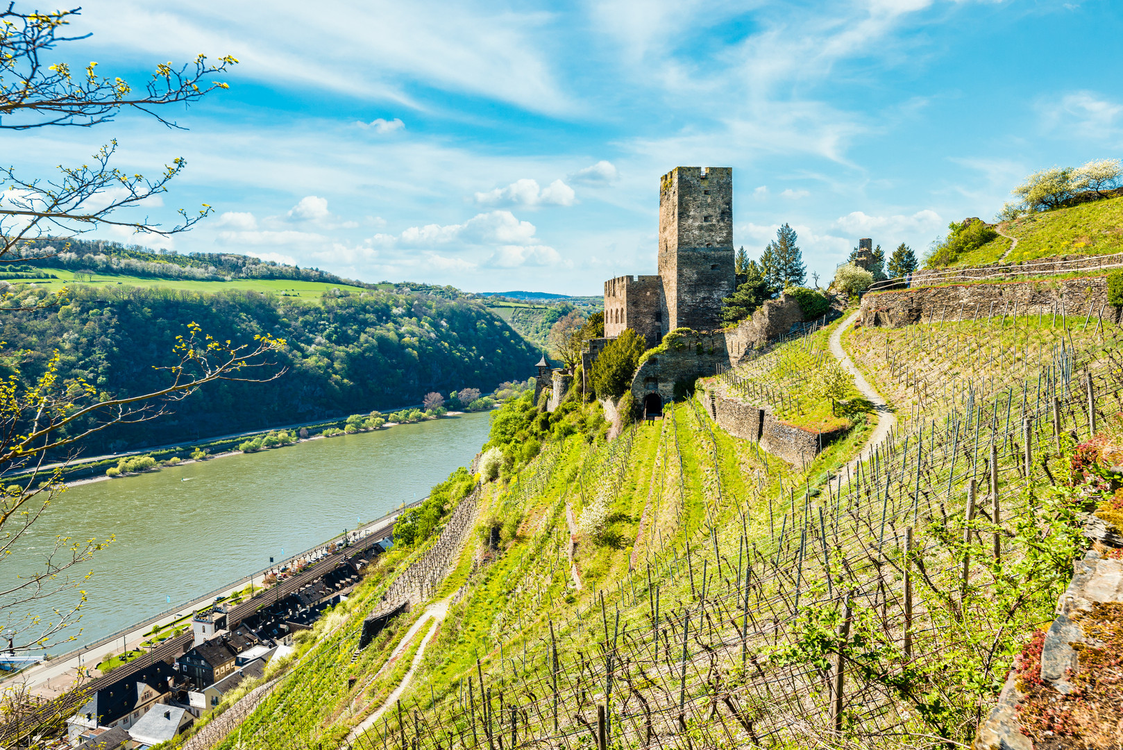 Burg Gutenfels 58