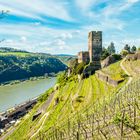 Burg Gutenfels 58