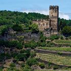 Burg Gutenfels