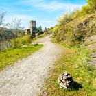 Burg Gutenfels 75