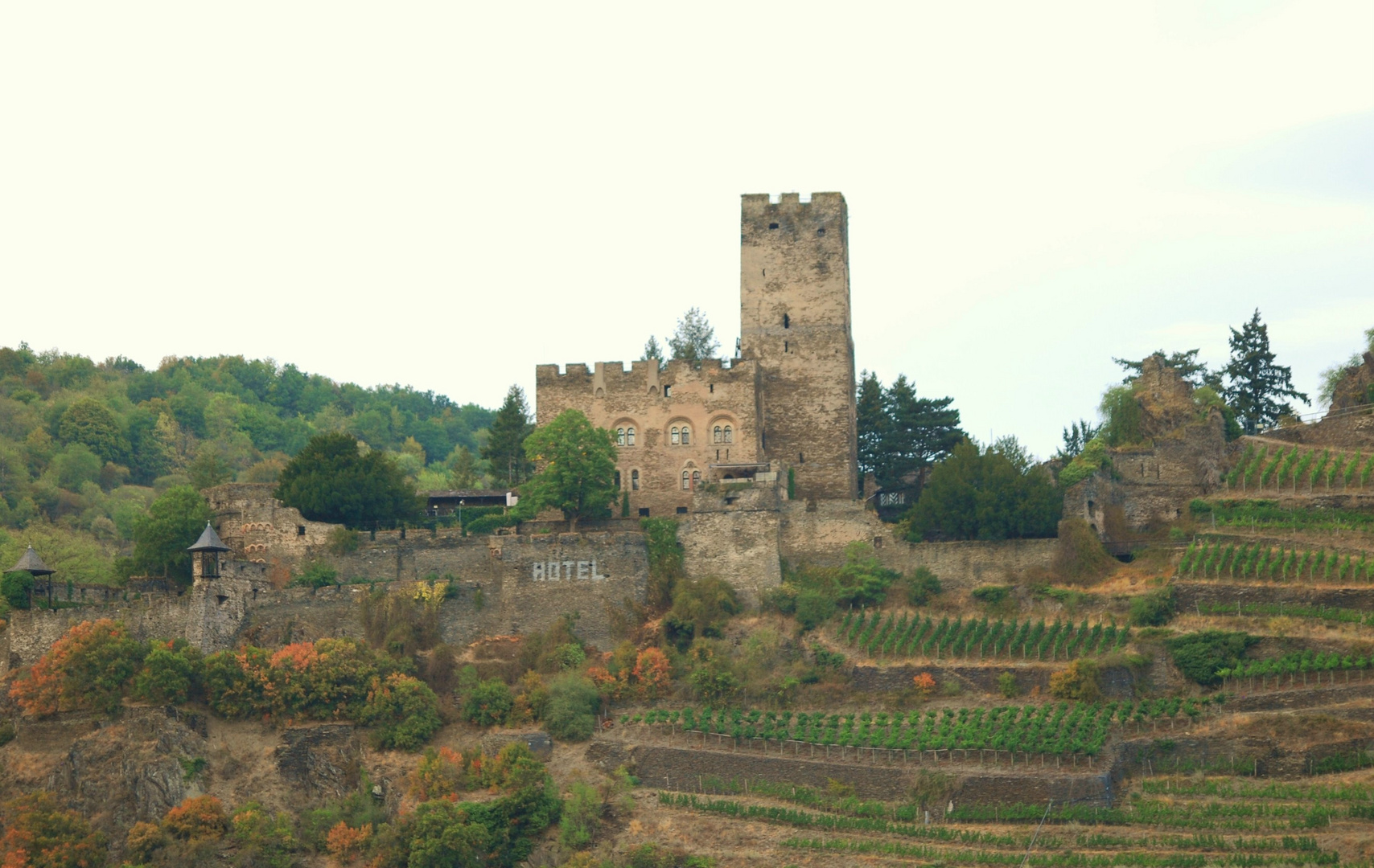 Burg Gutenfels