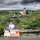 Burg Gutenfels am Rhein