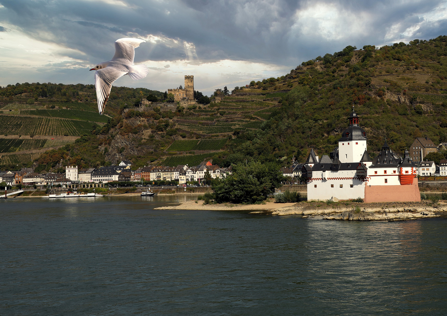 Burg Gutenfels am Rhein - Burg Pfalzgrafenstein