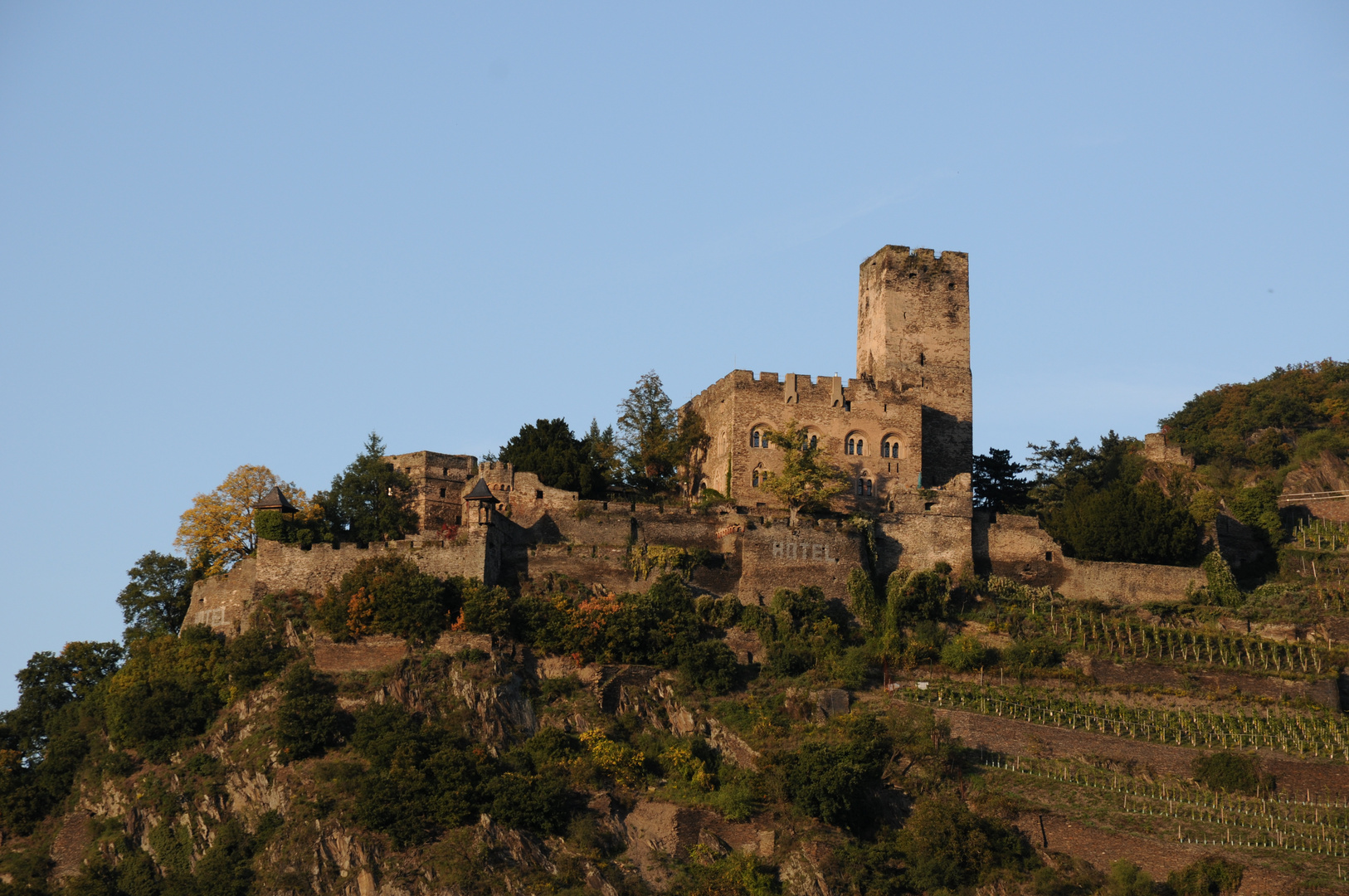 Burg Gutenfels auf der anderen Rheinseite