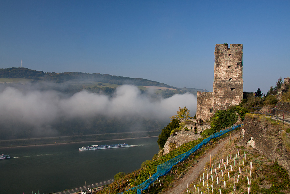 Burg Gutenfels mit Restnebel Foto & Bild deutschland, europe