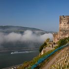 Burg Gutenfels mit Restnebel