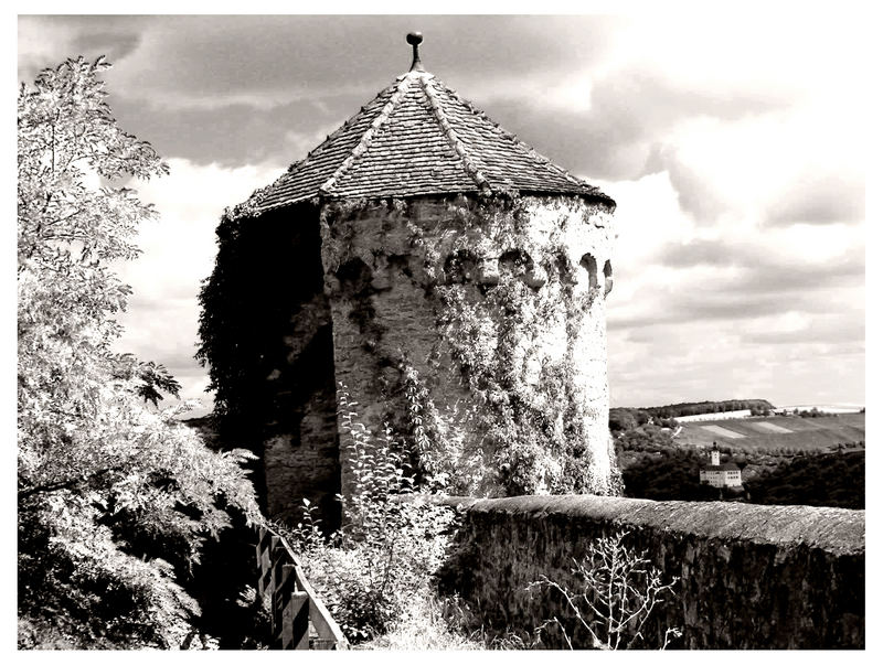 Burg Guttenberg