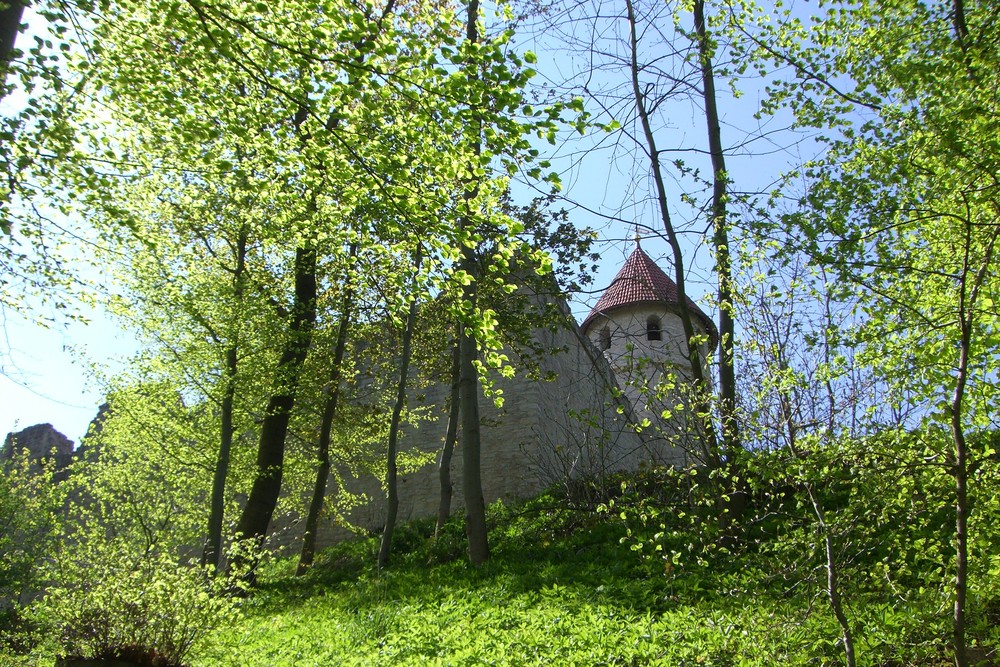 Burg Haineck Foto & Bild landschaft, wald, natur Bilder auf