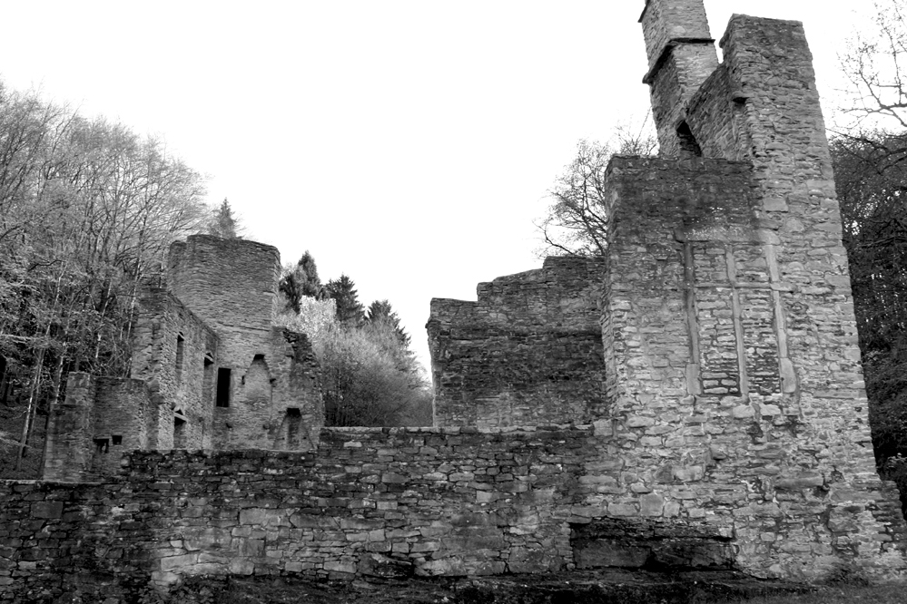 Burg Hardenstein an der Ruhr - Witten in Nordrhein-Westfalen #5